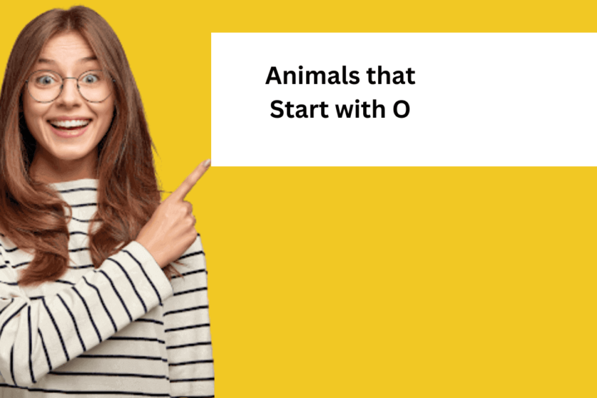 Animals that Start with O