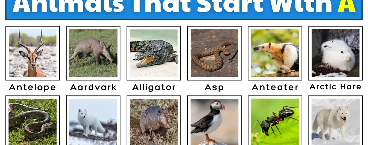 Animals That Start with A