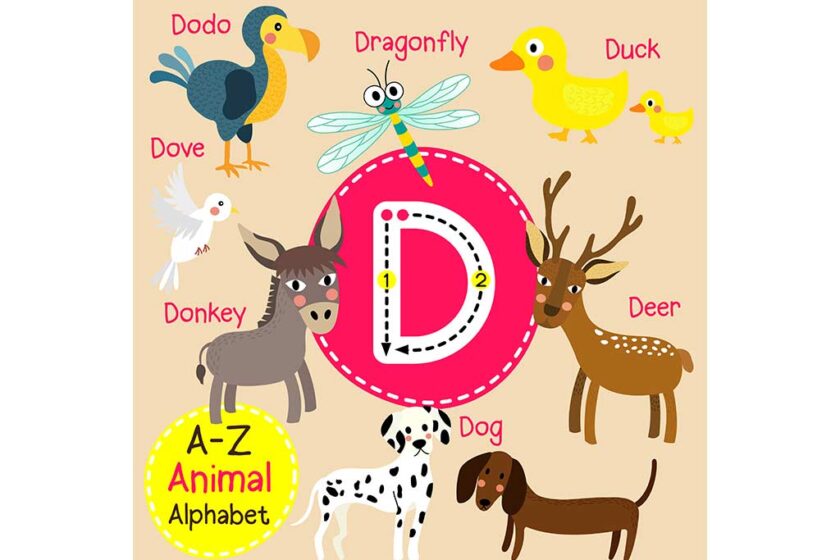 Animals that Start With D