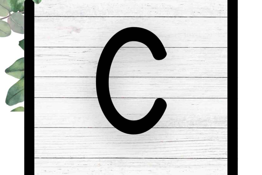 Describing Words that Start With C