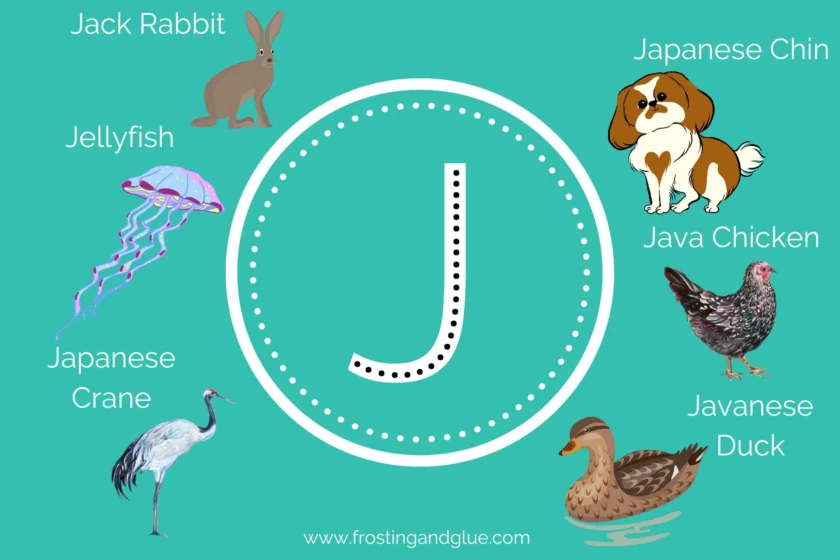 Animals that Start with J